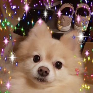 Meet your Posher, Mindy